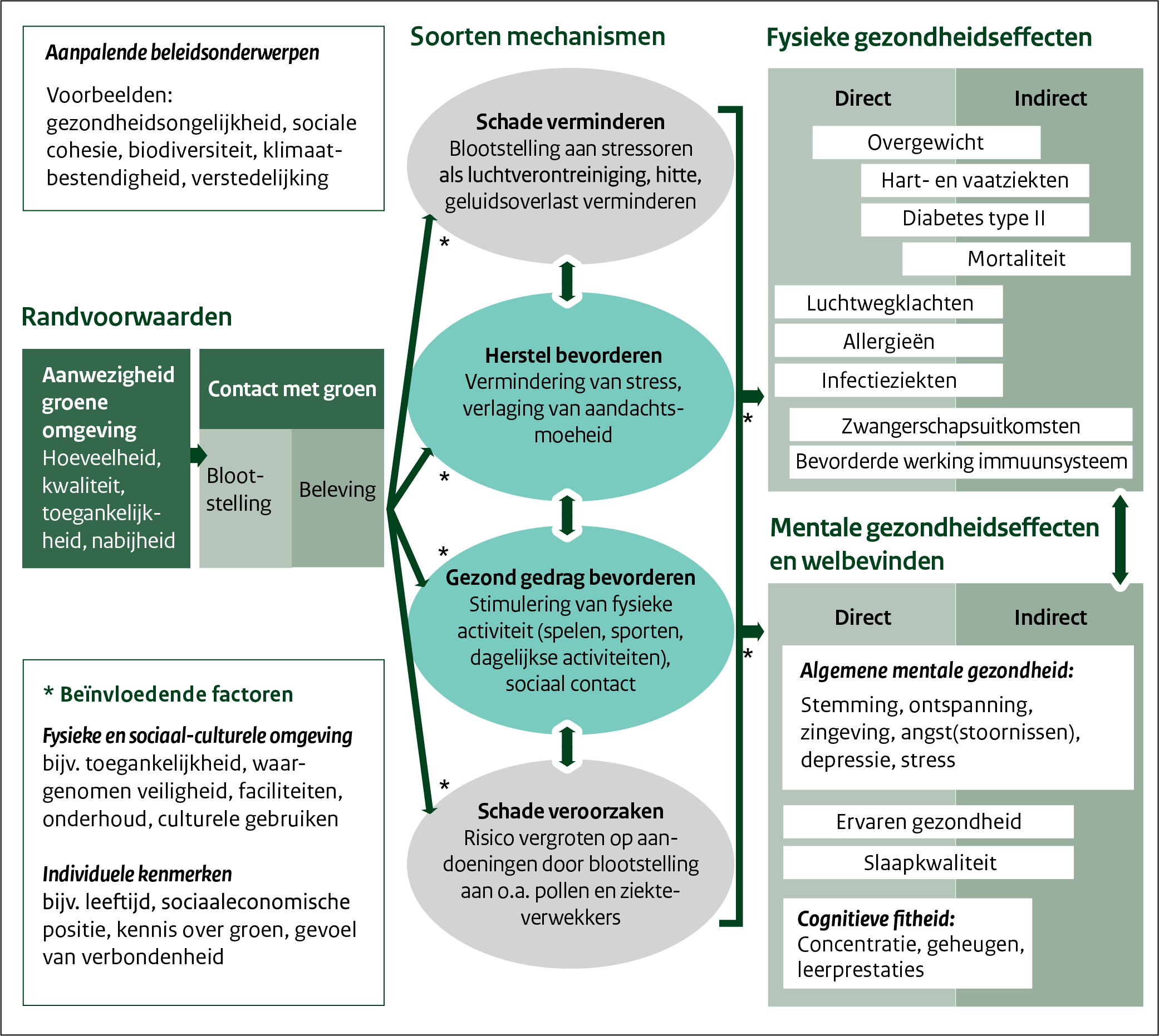 Figuur: Conceptueel model effecten van groen op gezondheid