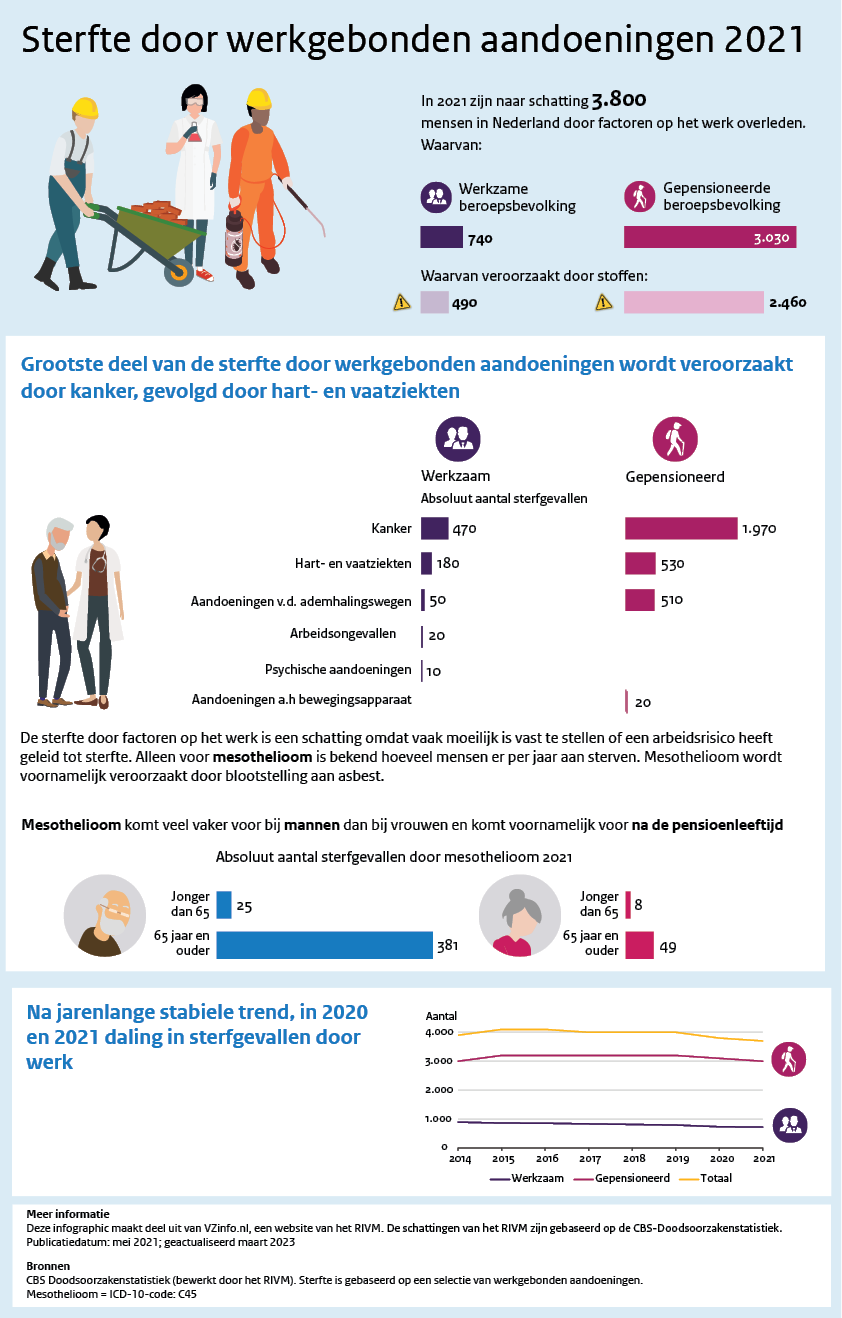 Sterte door werkgebonden aandoeningen 2021. •	In 2021 zijn naar schatting 3.800 mensen in Nederland door factoren op het werk overleden. •	Grootste deel van de sterfte door werkgebonden aandoeningen wordt veroorzaakt door kanker, gevolgd door hart- en vaatziekten. •	Mesothelioom komt veel vaker voor bij mannen dan bij vrouwen en komt voornamelijk voor na de pensioenleeftijd. •	Na jarenlange stabiele trend, in 2020 en 2021 daling in sterfgevallen door werk.  Deze infographic maakt deel uit van VZinfo.nl, een