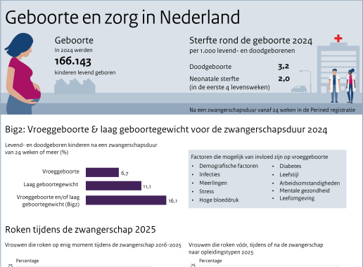 Infographic Geboorte en Zorg. Onder de afbeelding is een tekstversie van de infographic opgenomen.